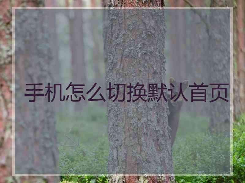 手机怎么切换默认首页