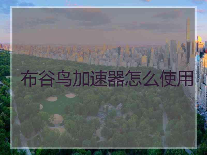 布谷鸟加速器怎么使用