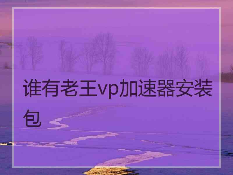 谁有老王vp加速器安装包