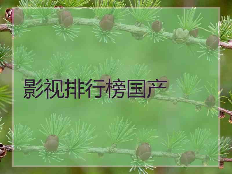 影视排行榜国产