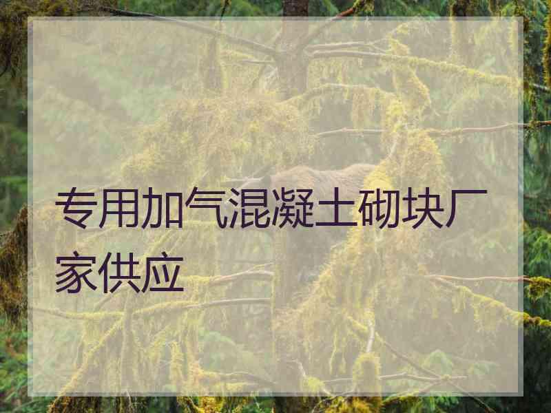 专用加气混凝土砌块厂家供应