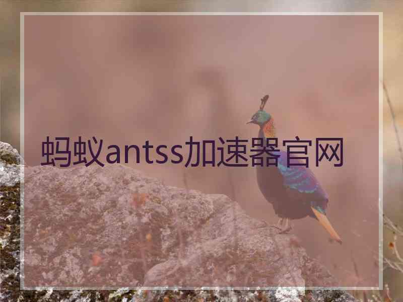 蚂蚁antss加速器官网