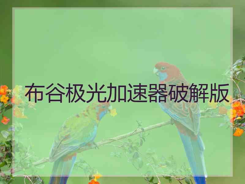 布谷极光加速器破解版