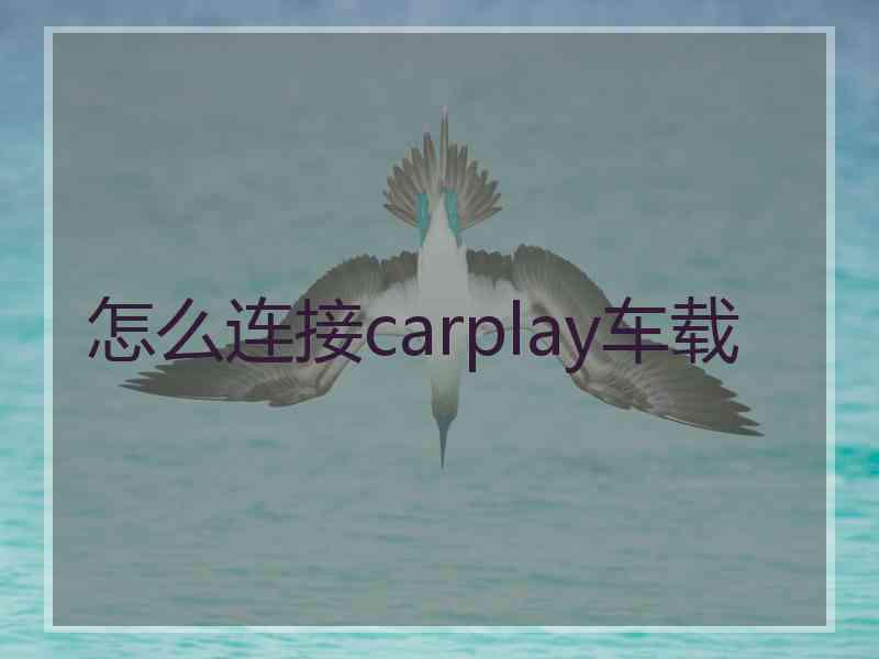 怎么连接carplay车载