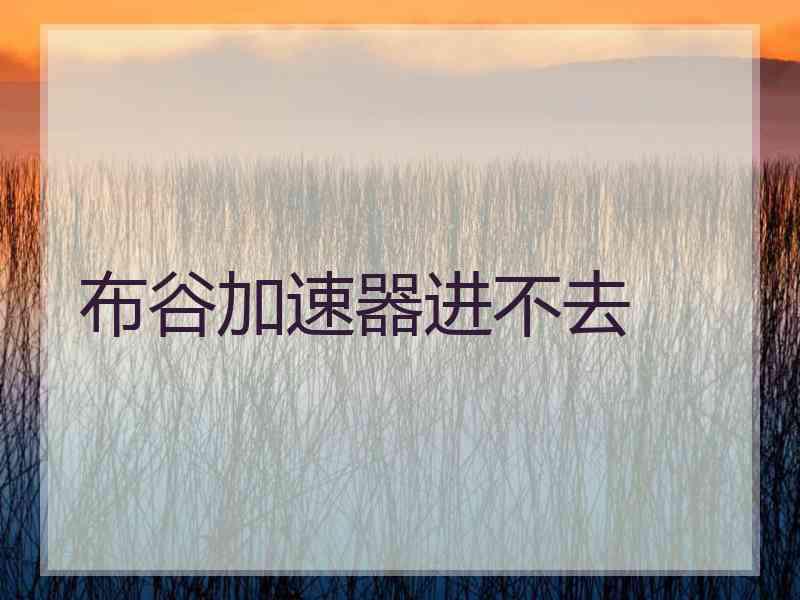 布谷加速器进不去