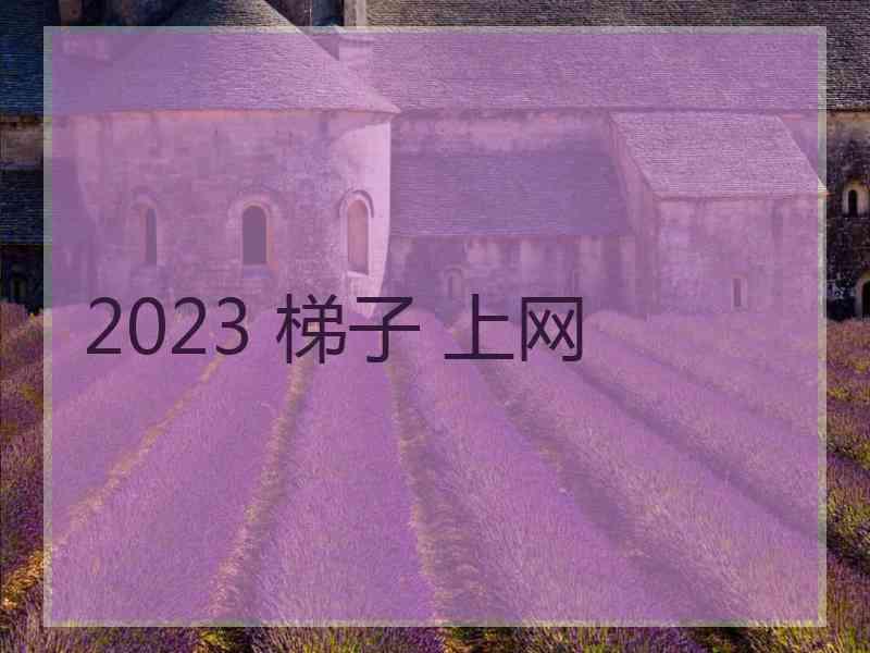 2023 梯子 上网