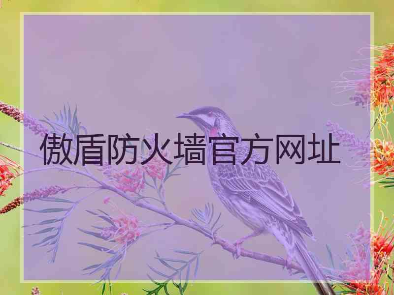 傲盾防火墙官方网址