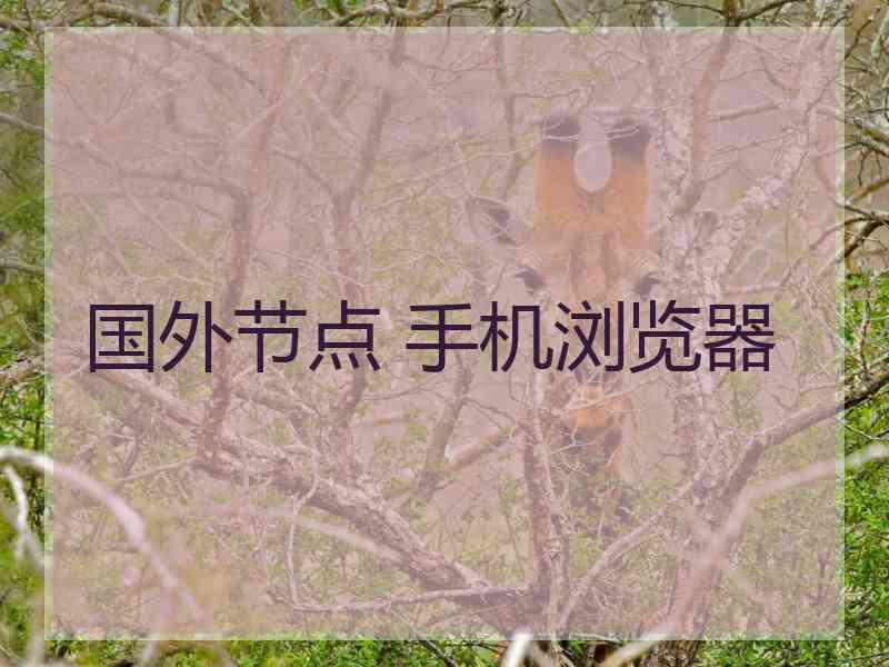 国外节点 手机浏览器