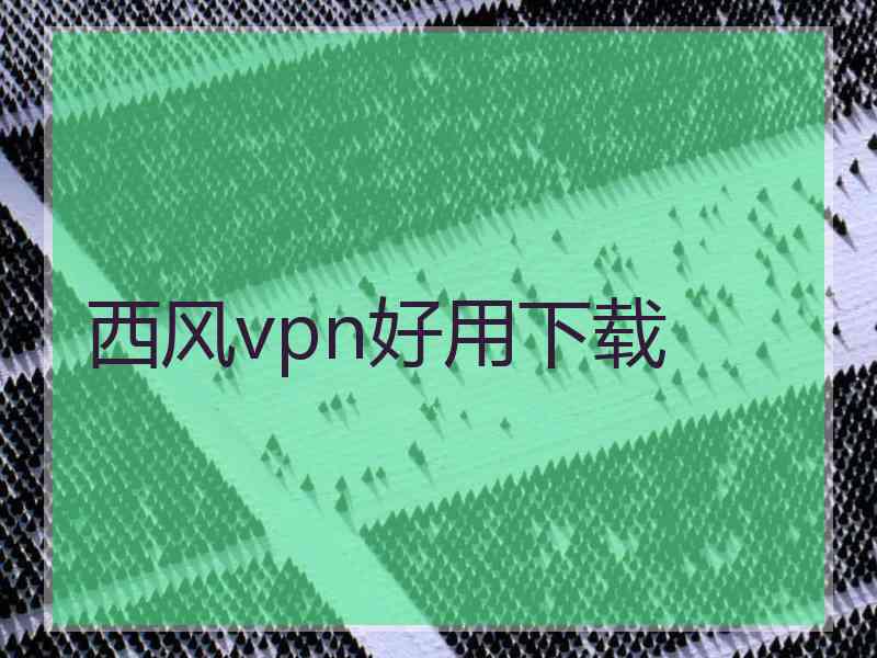西风vpn好用下载