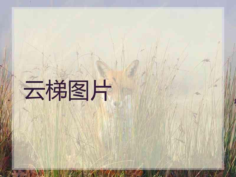 云梯图片