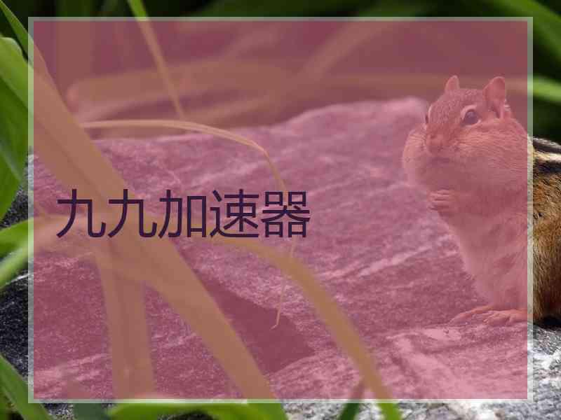 九九加速器
