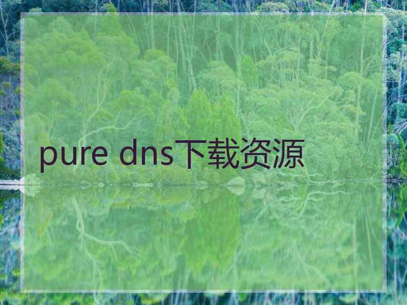 pure dns下载资源