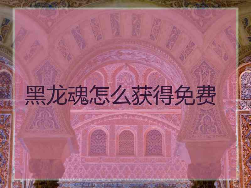 黑龙魂怎么获得免费