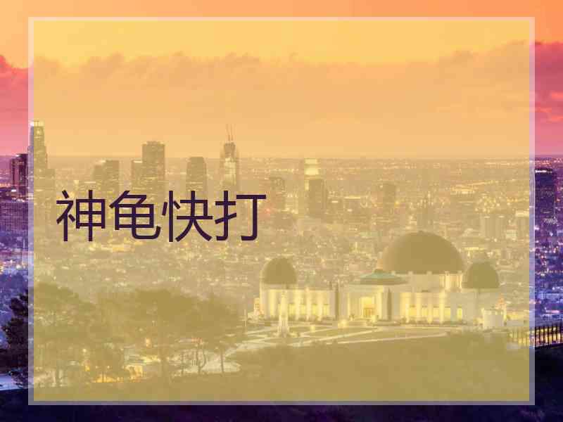 神龟快打