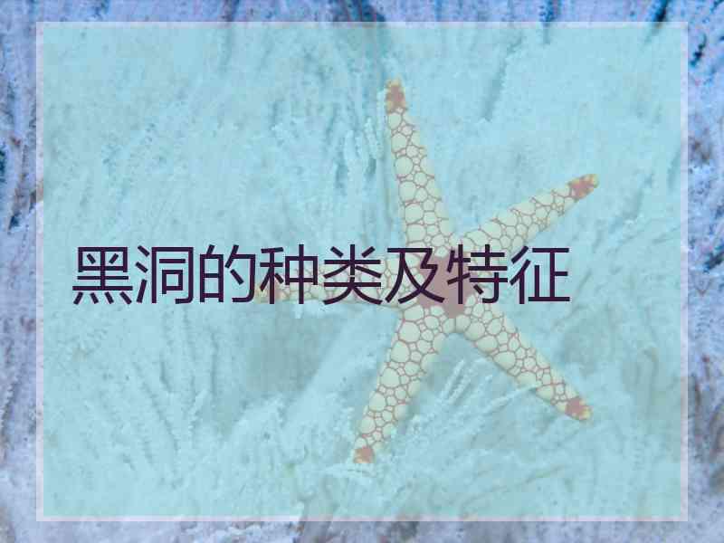 黑洞的种类及特征