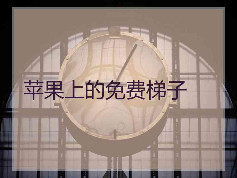 苹果上的免费梯子