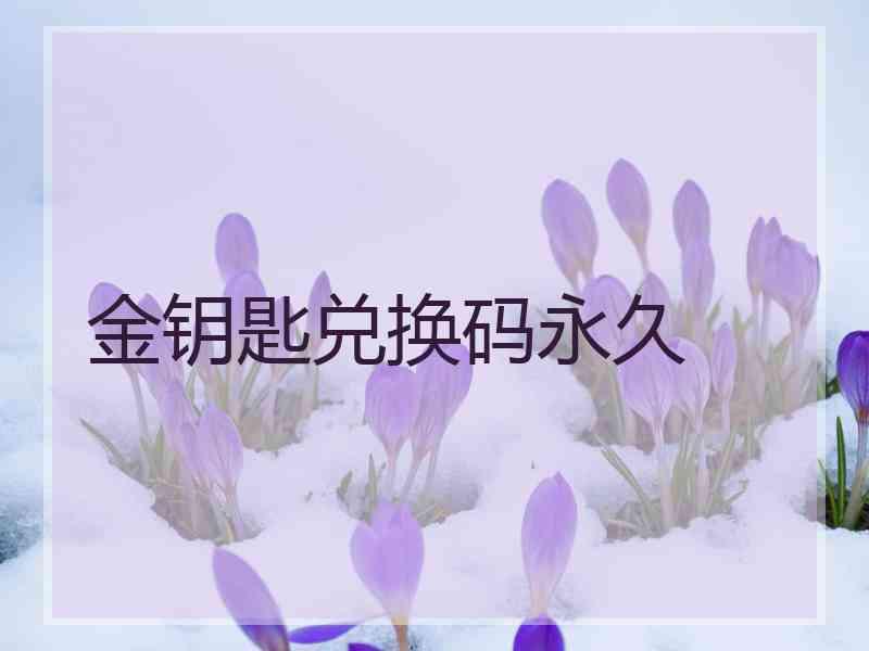 金钥匙兑换码永久