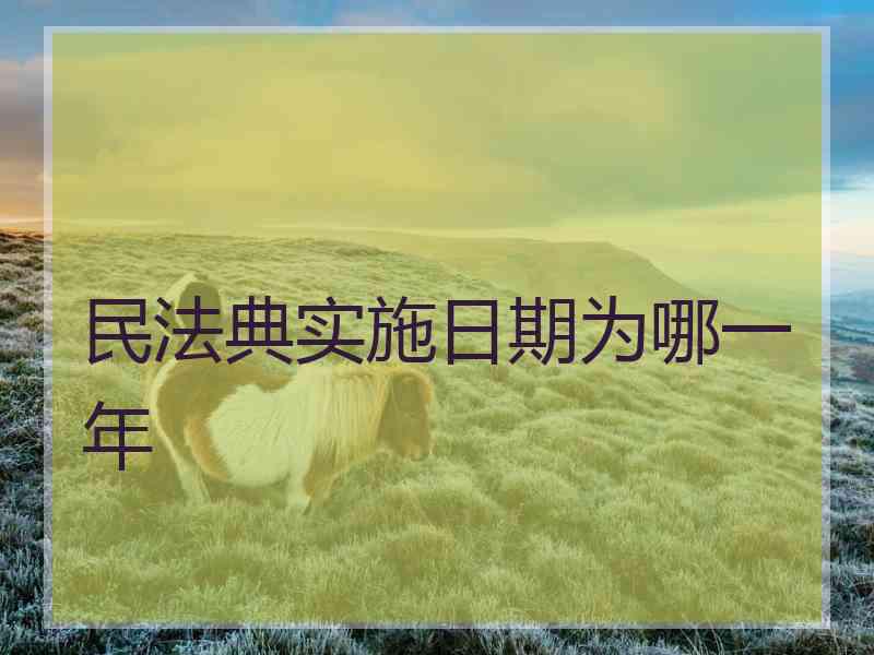 民法典实施日期为哪一年