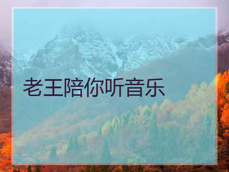 老王陪你听音乐