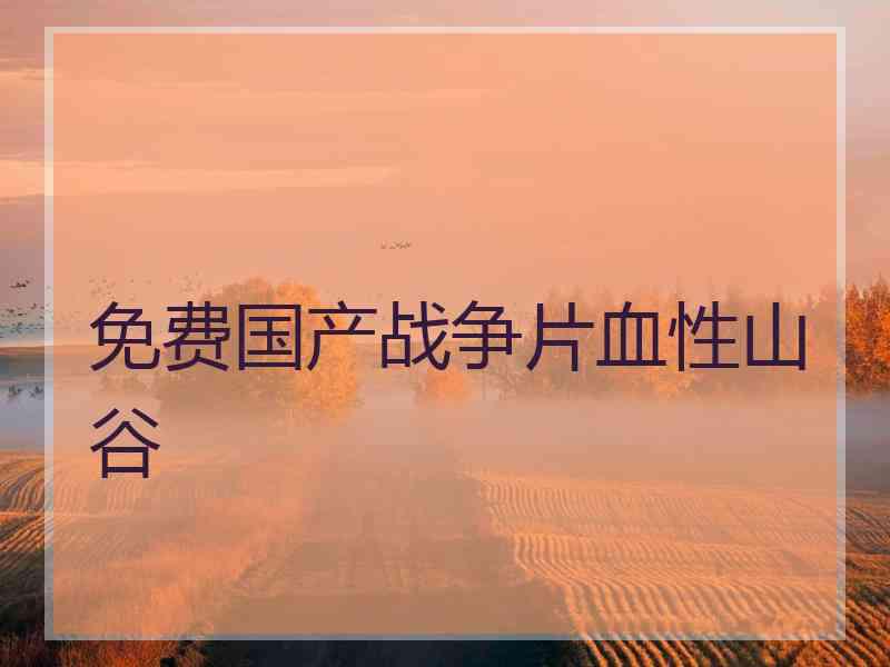 免费国产战争片血性山谷