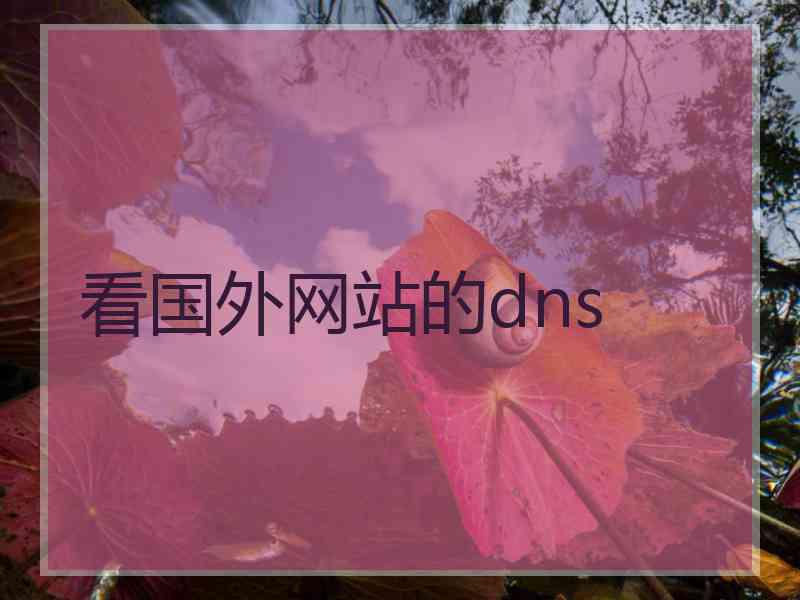 看国外网站的dns