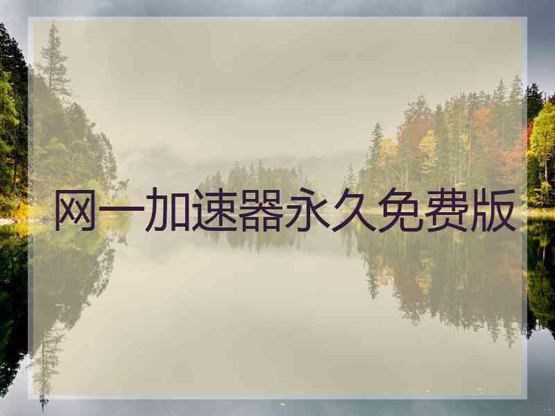 网一加速器永久免费版