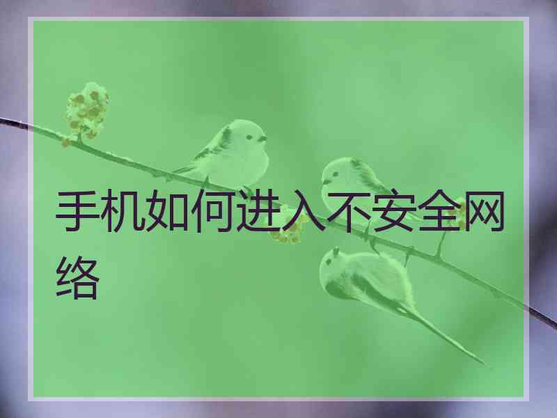 手机如何进入不安全网络