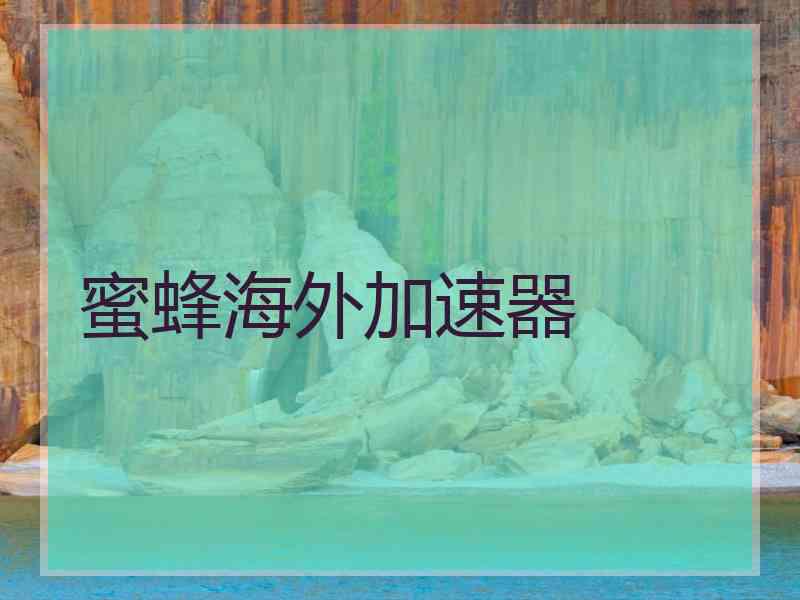 蜜蜂海外加速器