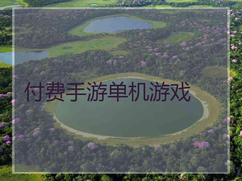 付费手游单机游戏