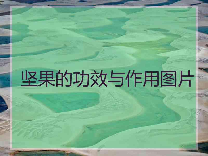 坚果的功效与作用图片