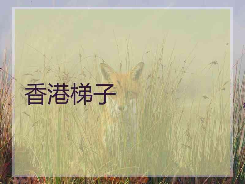 香港梯子