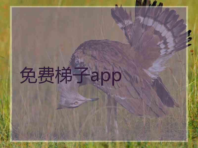 免费梯子app