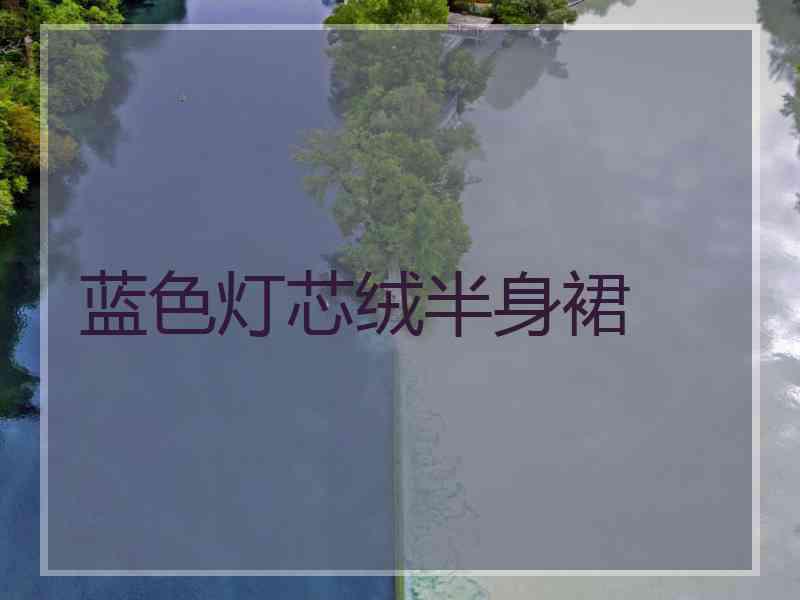 蓝色灯芯绒半身裙