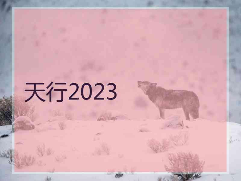 天行2023