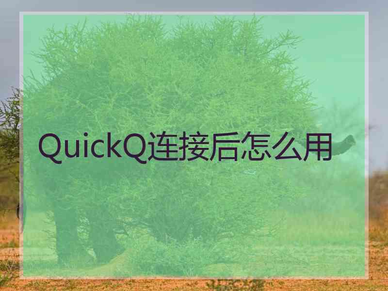 QuickQ连接后怎么用