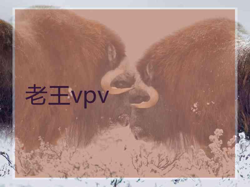 老王vpv