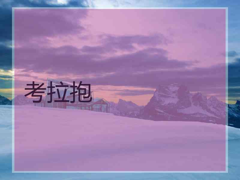 考拉抱