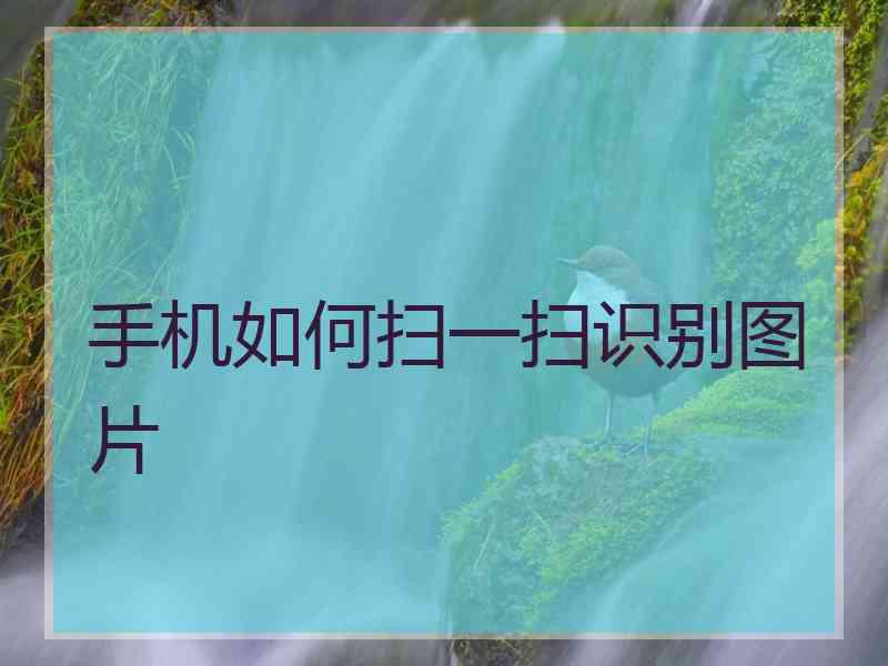 手机如何扫一扫识别图片