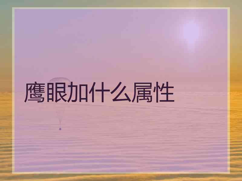 鹰眼加什么属性