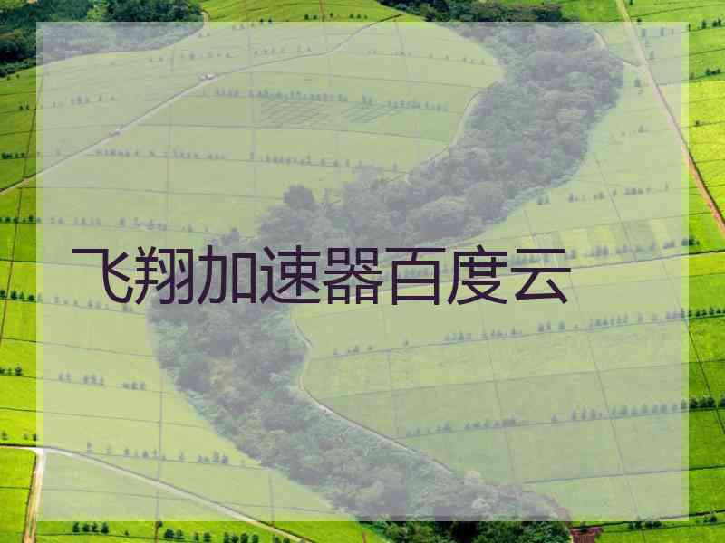 飞翔加速器百度云