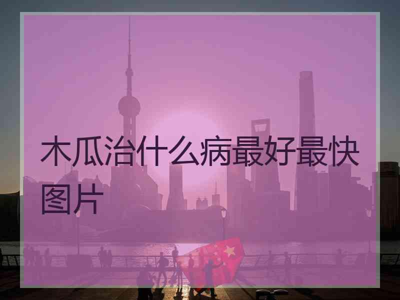 木瓜治什么病最好最快图片