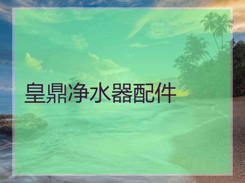 皇鼎净水器配件
