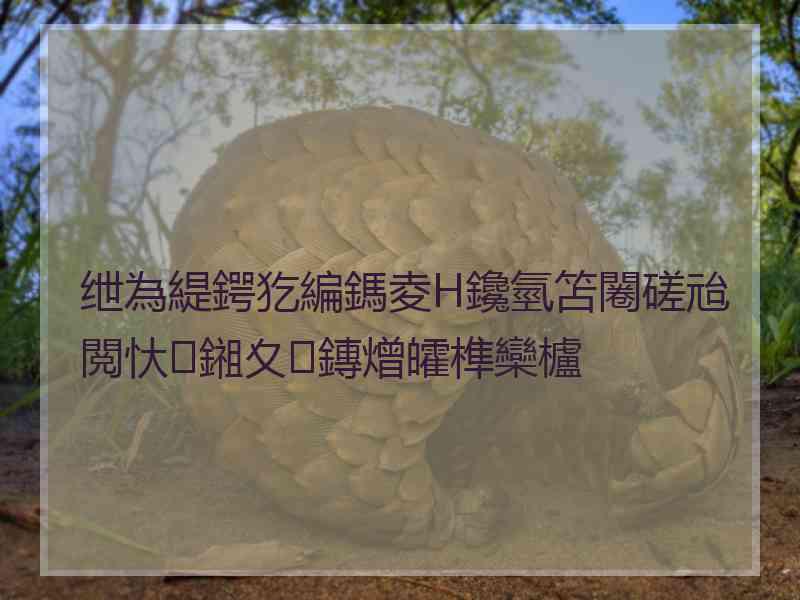 绁為緹鍔犵編鎷夌Н鑱氫笘闂磋兘閲忕鎺夊鏄熷皬榫欒櫨