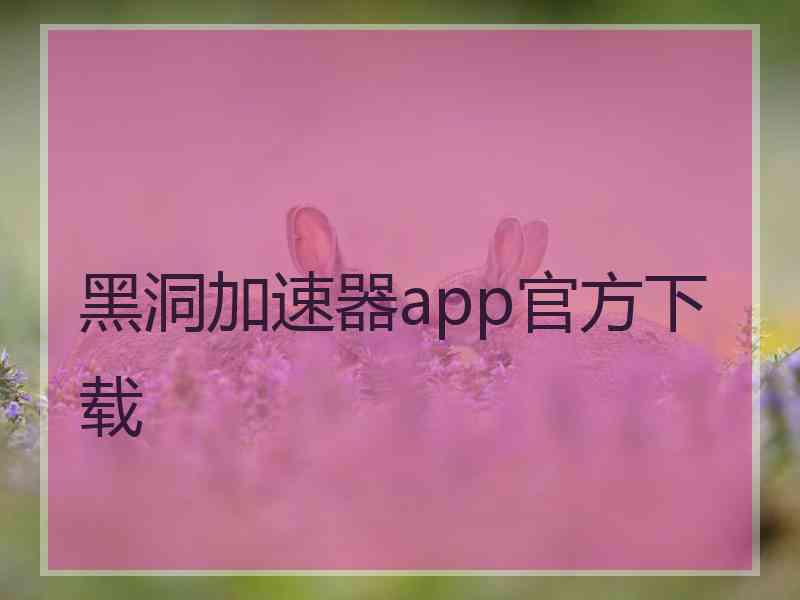 黑洞加速器app官方下载