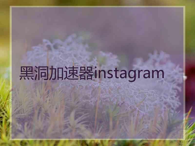 黑洞加速器instagram