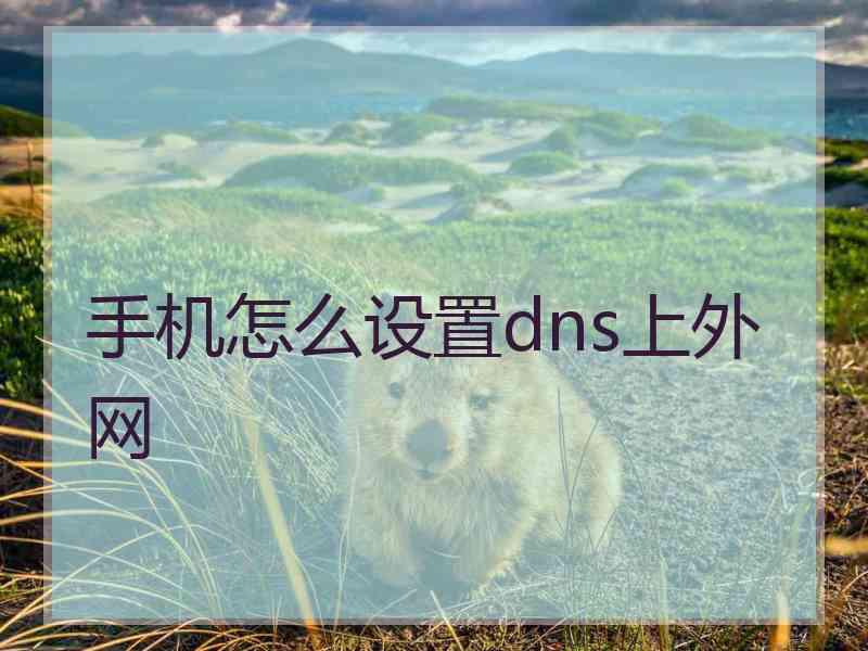 手机怎么设置dns上外网