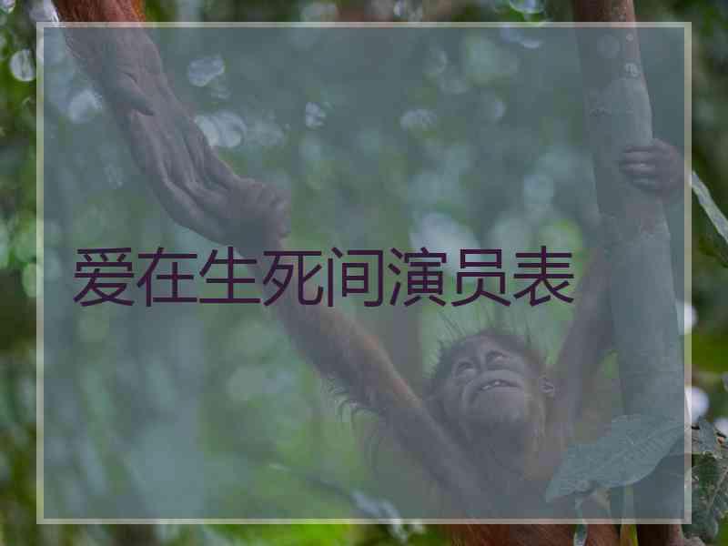 爱在生死间演员表