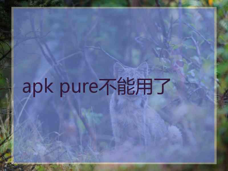 apk pure不能用了