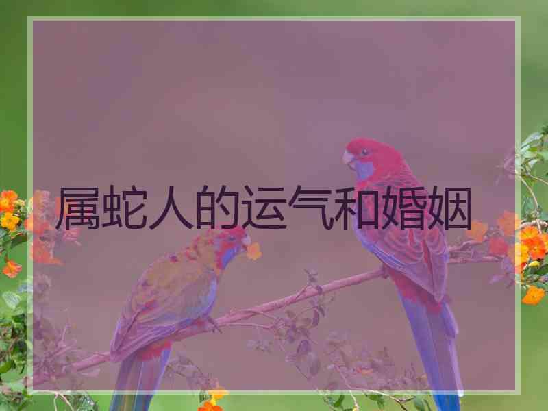 属蛇人的运气和婚姻