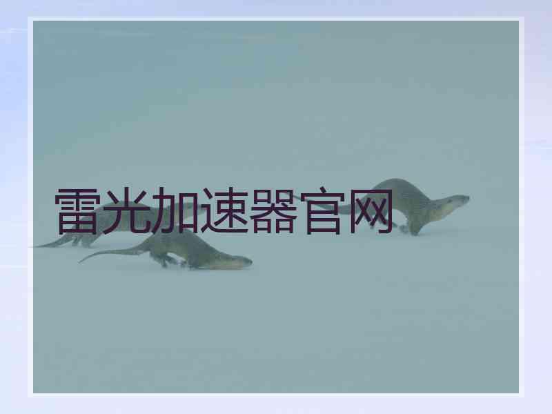 雷光加速器官网